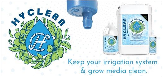 HyClean web banner small eng